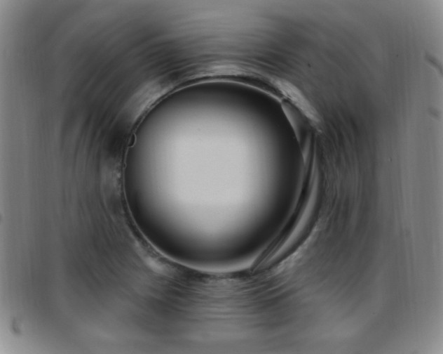 X0000097891225200803141325