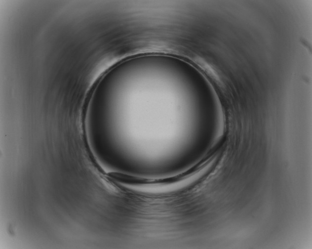 X0000097891230200803141325
