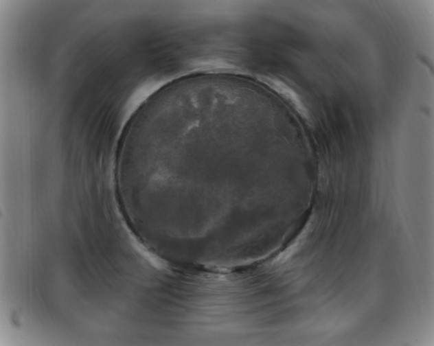 X0000097891231200803141325