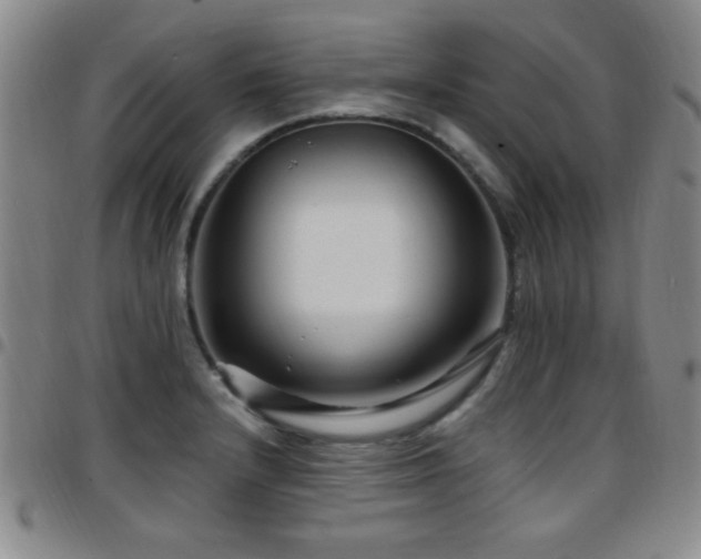 X0000097891232200803141325
