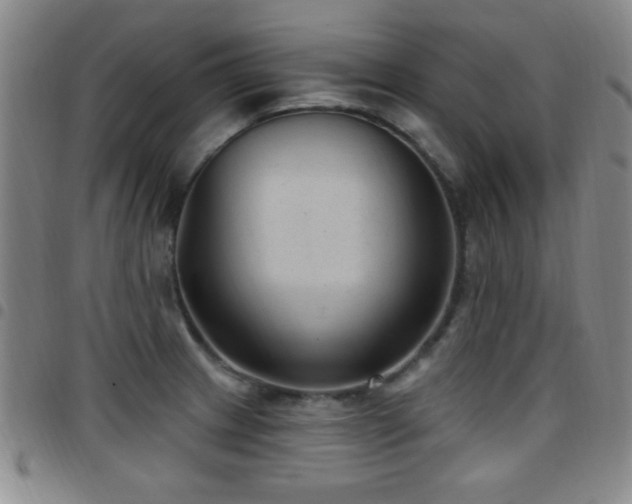 X0000097891233200803141325