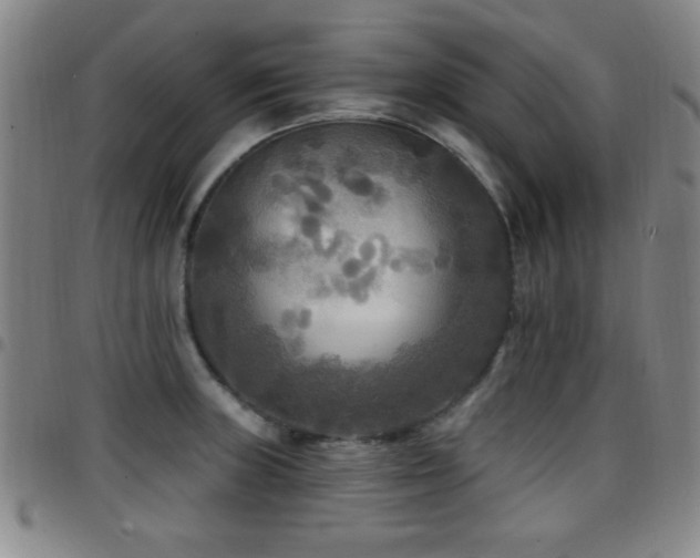 X0000097891235200803141325