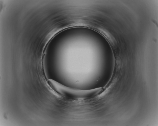 X0000097891236200803141325