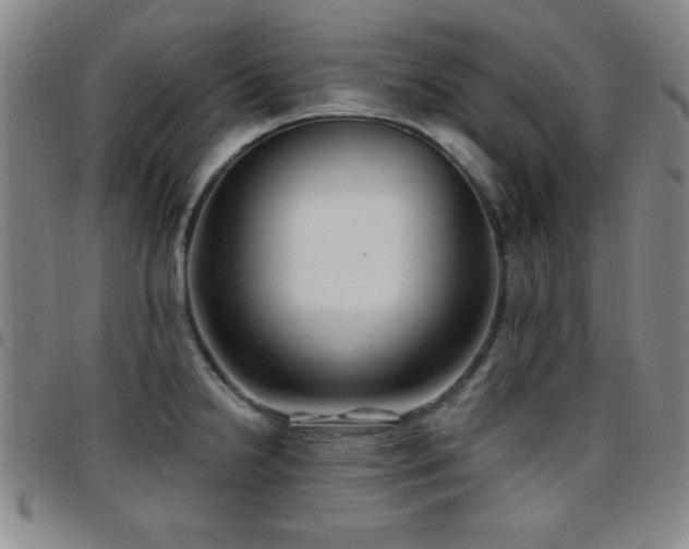 X0000097891238200803141325