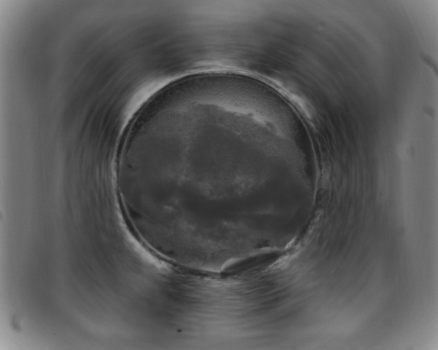 X0000097891239200803141326