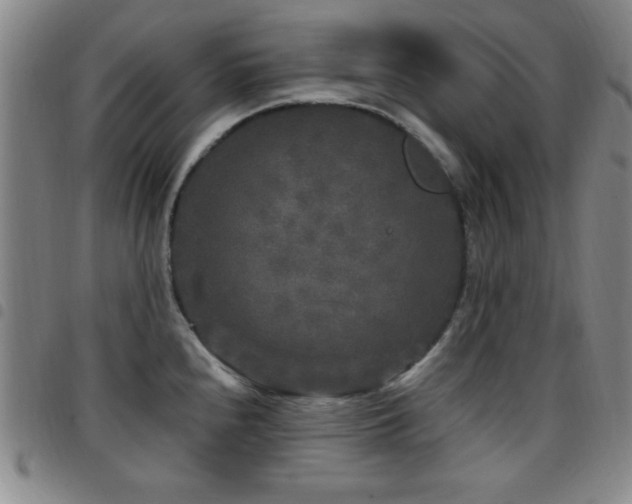 X0000097891240200803141326
