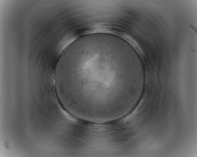 X0000097891241200803141326