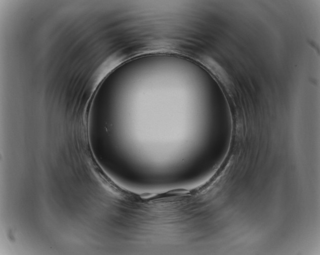 X0000097891242200803141326