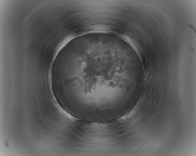 X0000097891243200803141326