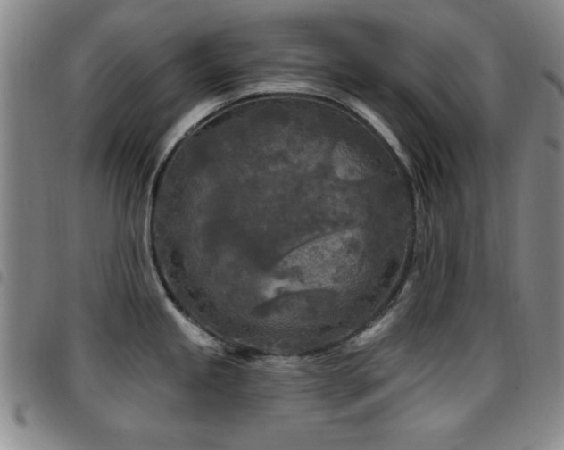 X0000097891245200803141326