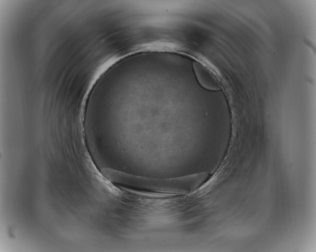 X0000097891248200803141326