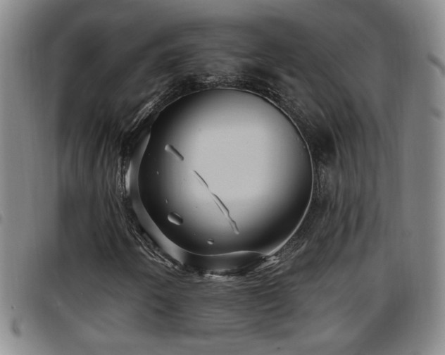 X0000097891250200803141325