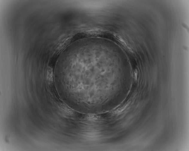X0000097891251200803141325