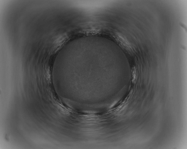X0000097891252200803141325