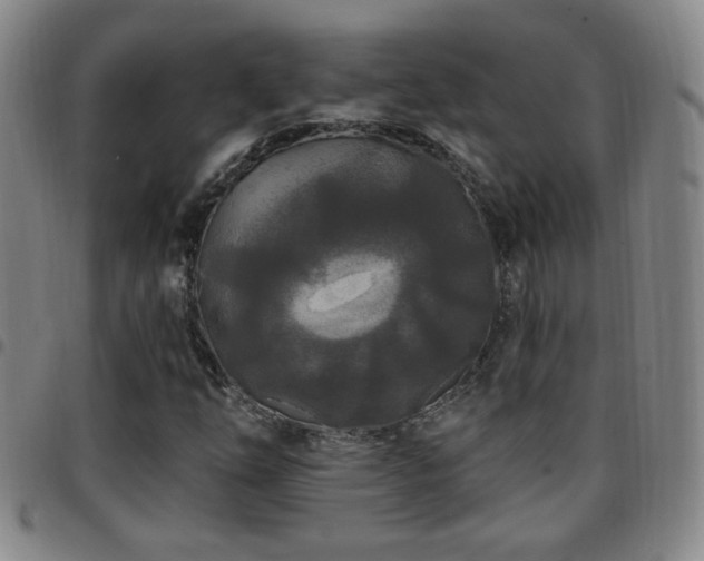 X0000097891254200803141325