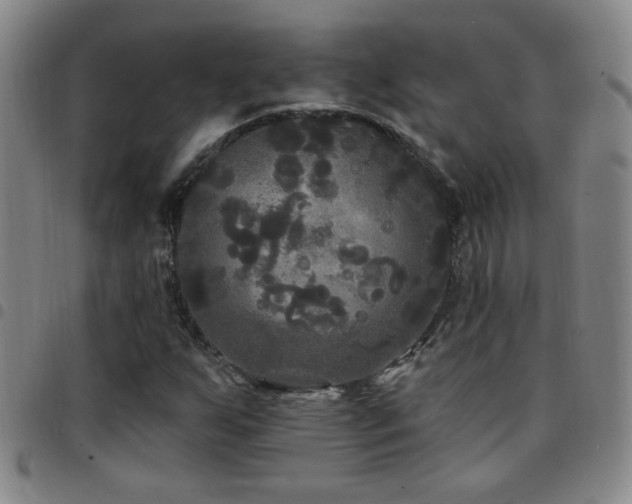 X0000097891255200803141325