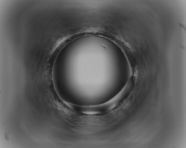 X0000097891256200803141325