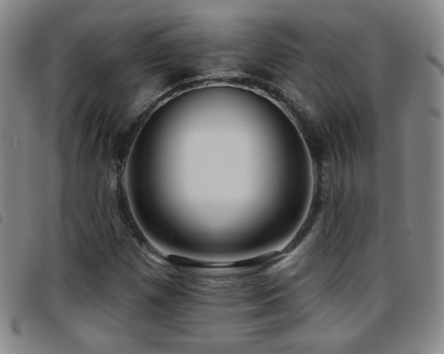 X0000097891257200803141325