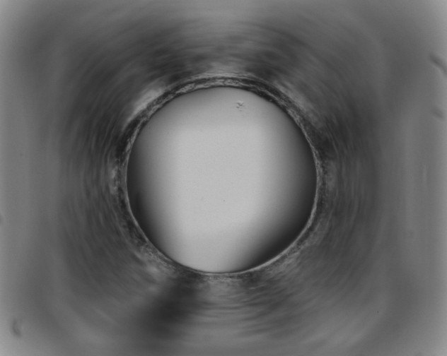 X0000097891258200803141325