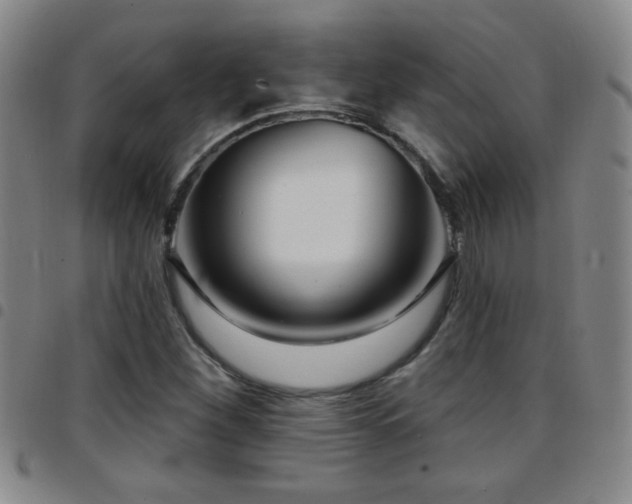 X0000097891260200803141325