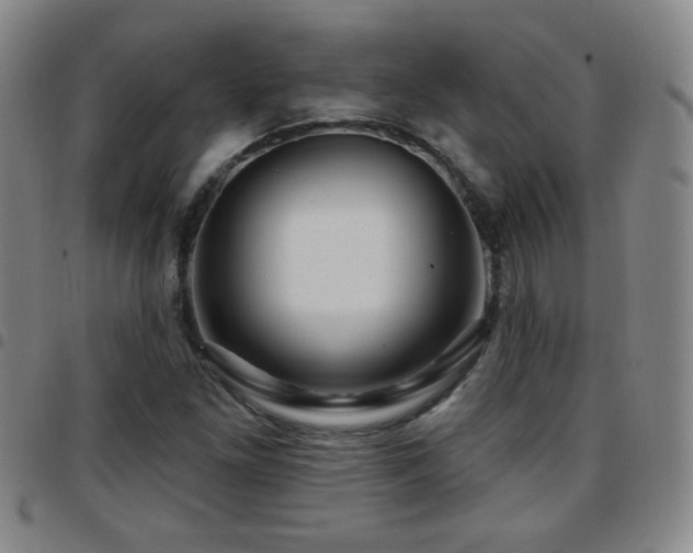 X0000097891261200803141325