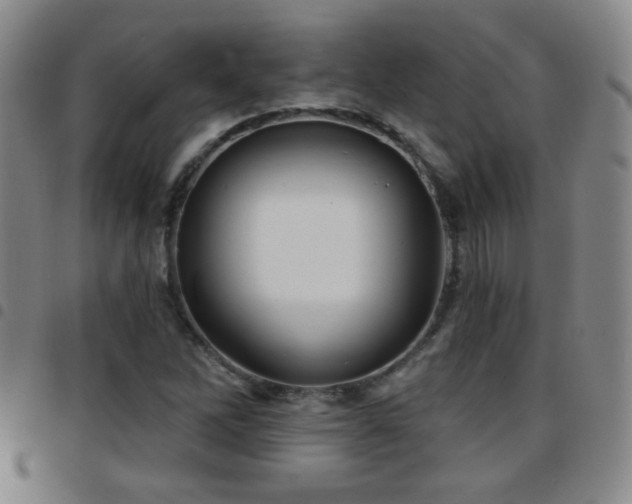 X0000097891262200803141325