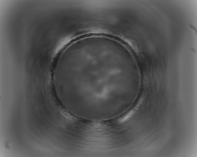 X0000097891263200803141325