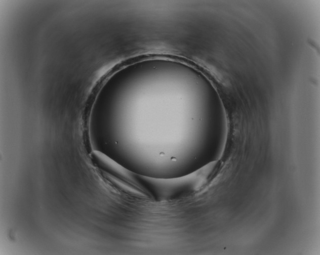 X0000097891264200803141325