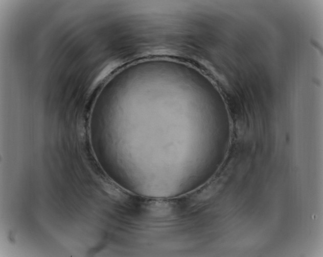 X0000097891266200803141325