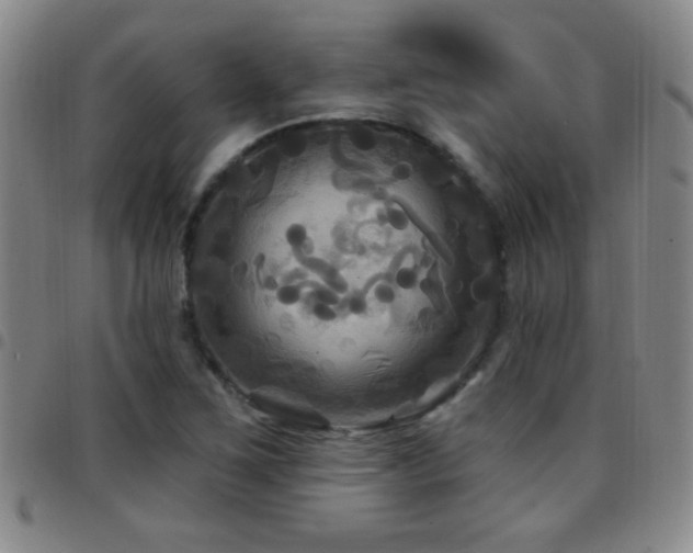 X0000097891267200803141325