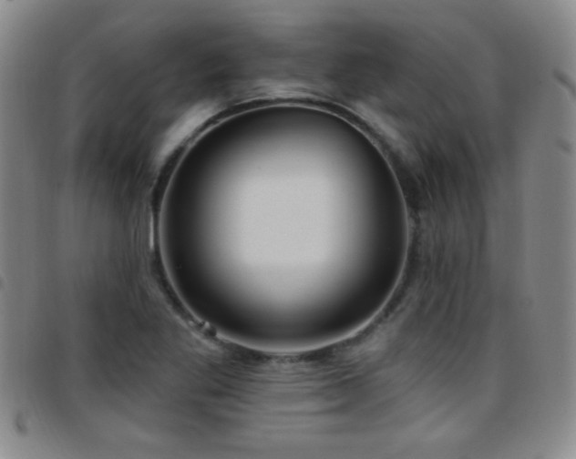 X0000097891269200803141325