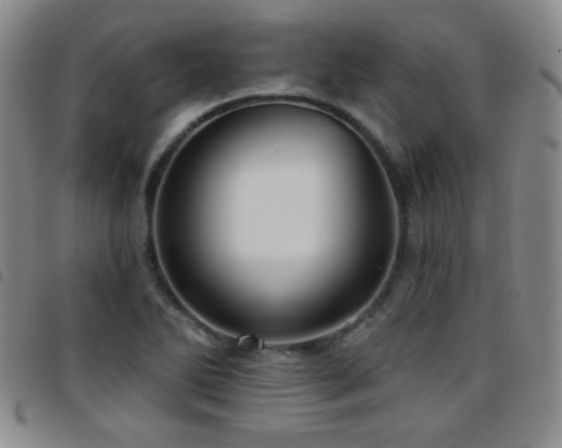 X0000097891270200803141325