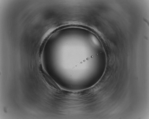 X0000097891271200803141325