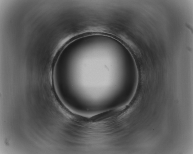 X0000097891272200803141325