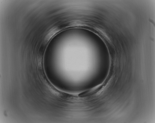 X0000097891273200803141325