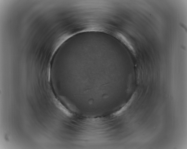 X0000097891276200803141325