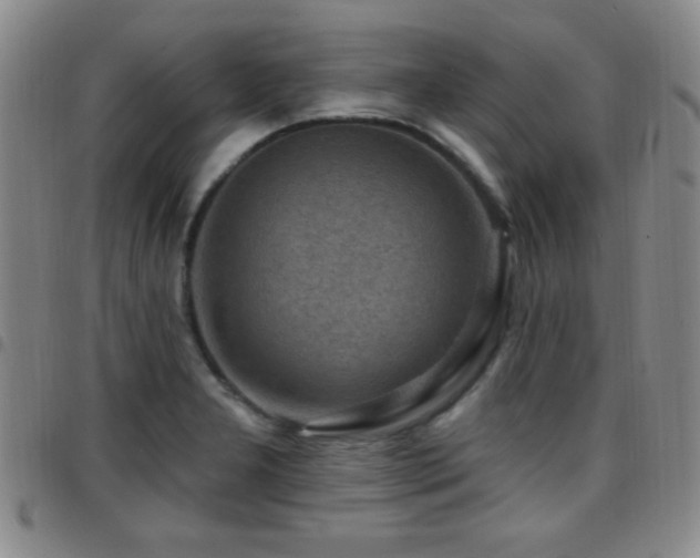 X0000097891277200803141325
