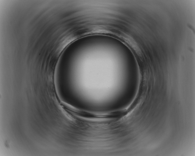 X0000097891281200803141325