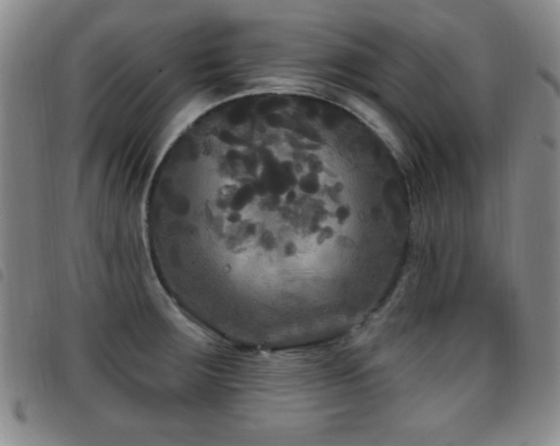 X0000097891283200803141325