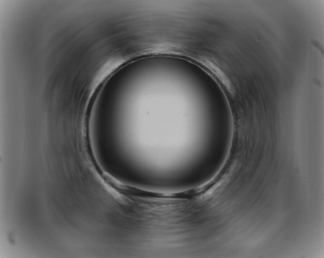X0000097891285200803141324
