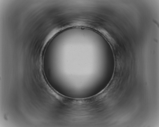 X0000097891286200803141324