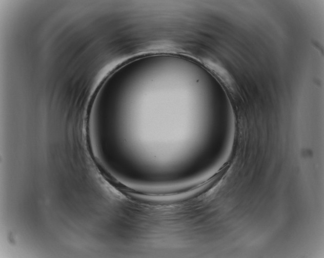 X0000097891288200803141324