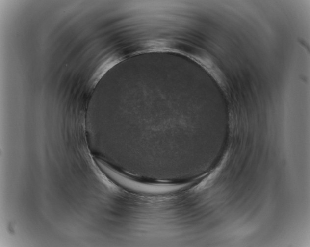 X0000097891289200803141324