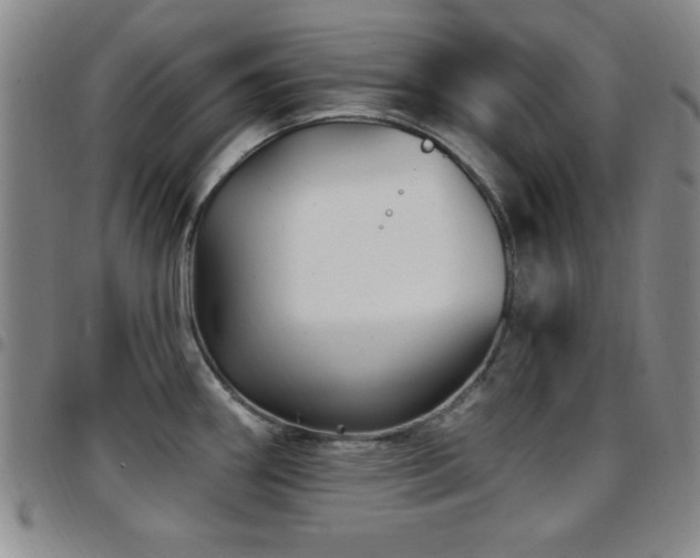 X0000097891290200803141324