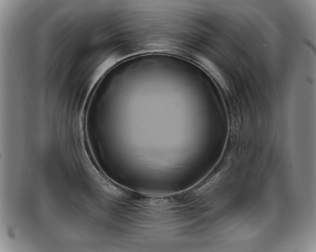X0000097891291200803141324