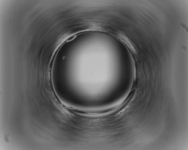X0000097891292200803141324
