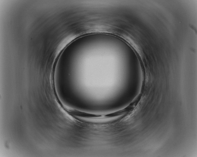 X0000097891293200803141324