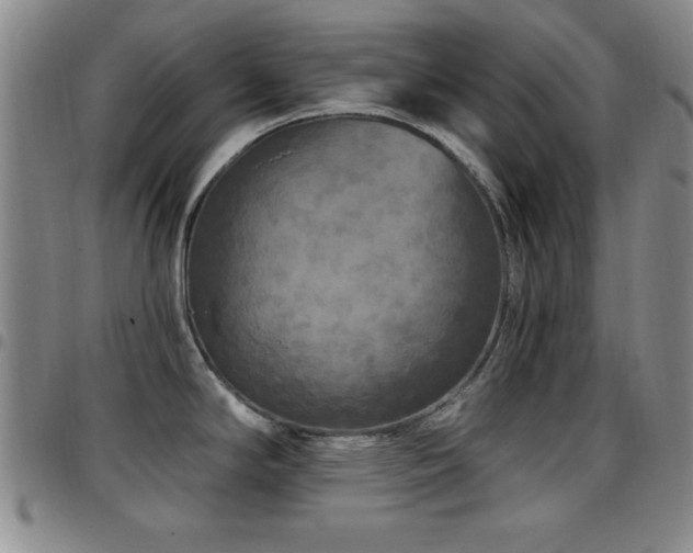 X0000097891294200803141324