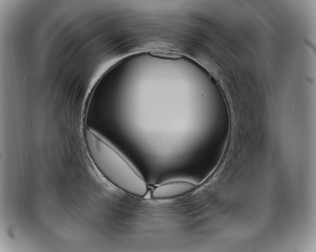 X0000097891296200803141324