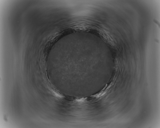 X0000097891297200803141324